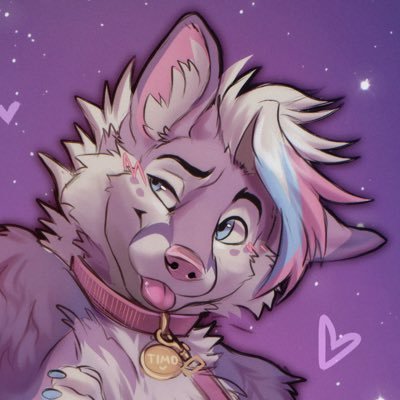 Folf|25|He/Him/She|🏳️🌈Pan🩷💛🩵|ΘΔ|Single|INTP-T|certified degenerate|will eat your food, or you ;3 🔞MDNI | Look for my AD |@zempy3 is my maker 🩷