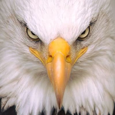 irfanone43's profile picture. بلکل سچ پات ہےپاکستان سے پیار ہو تو تحریک فتنہ و فساد سے نفرت خود پخود ہو جاتی ہے❣️