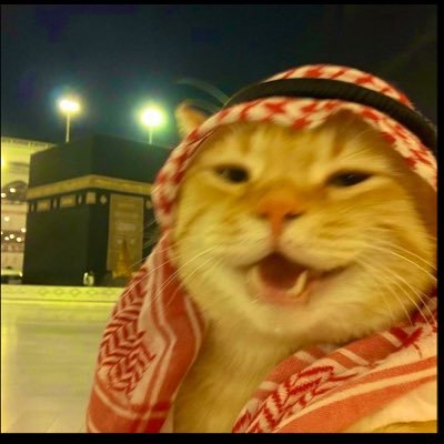 VincentKrypto's profile picture. Crypto🪙.DeFi📈& memecoins👻 #CFC💙