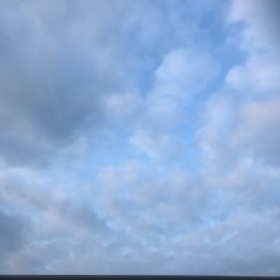 yoshiさんのプロフィール画像