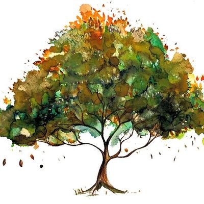 At Trust Counselling, we help you explore the past, understand the present, and build resilience for a healthier, more fulfilling future