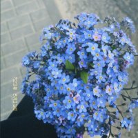 Yumoş_7 (@_the_sun7) 's Twitter Profile