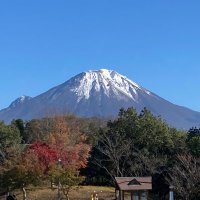 魚屋久兵衛 (@woo_oh_q) 's Twitter Profile
