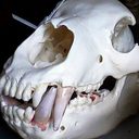 Mike Middaugh - @Les5ThanThree - Twitter