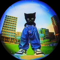 Fan Kito (@ton_kito) 's Twitter Profile Photo Fan Kito (@ton_kito) 's Twitter Profile Photo