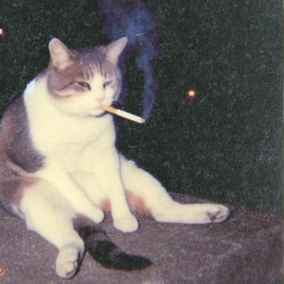 Je préfère être le mec qui bute un salopard que celui qu’on enterre avec une petite marche blanche