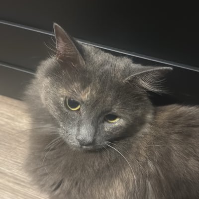 EMPYAT5's profile picture. 21 NYC   8 FIGURE AMZ SELLER                                     CRYPTO/STOCK DEGEN