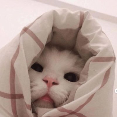 SRWPN2's profile picture. 💚