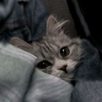 َ (@rilodo_) 's Twitter Profile Photo َ (@rilodo_) 's Twitter Profile Photo