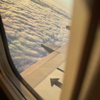 D. D. C. (@cloughdan) 's Twitter Profile