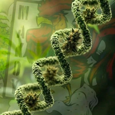 Alejand15545032's profile picture. 