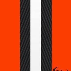 Cleveland’s son #DawgPound// #LetEmKnow// #GuardsBall//#CBJ // Buckeyes🔴 // Bayern Munich🔴 Proud American 🇺🇸 Rock n Rolla /All takes are incredibly accurate
