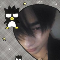 Luci || shedtwt (@lucislove) 's Twitter Profile