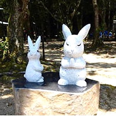 Mi_U2424's profile picture. 色々な県に住みましたが やっぱり香川県が好き 🌸9月15日 #かがわスタートアップフェスタ2025 『 #勇者ファイバリオン ブース』でお手伝いしました♪#香川県 #高松市 #香川ロボット交流会        https://t.co/xtA2w9N9Y1