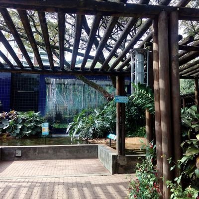 paradaolgar03's profile picture. 