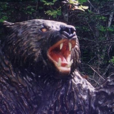 QJGZ176723's profile picture. 熊は害獣です。
人間社会に出てくれば、駆除しなくてはなりません。
しかし、命を奪った者としてありがたく、命をいただきましょう。
処理をしっかりすれば、熊肉は美味しいですよ。