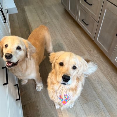 TreesSki58884's profile picture. 