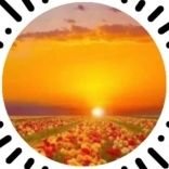 xiaoyu740477895's profile picture. labubu