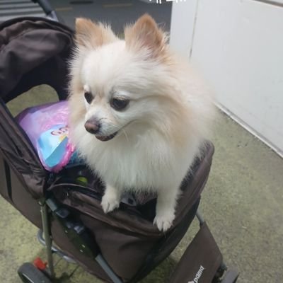 ryuyoonha's profile picture. 