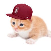 Stanford Gary (@stanfordgarycat) 's Twitter Profile