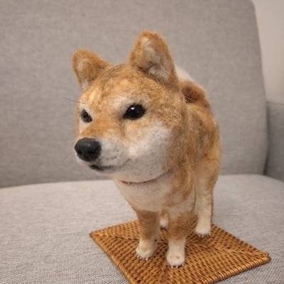2011年9月20生まれ13歳の豆柴女子りくと暮らしています。お耳は聴こえなくなっちゃったけど元気で食いしん坊。
時々スイーツ🍰時々羊毛フェルト🐶
#柴犬
#豆柴犬
#シニア犬
#犬好き
#犬好きさんと話したい
#猫好き