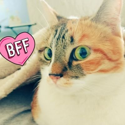 ~さんのプロフィール画像