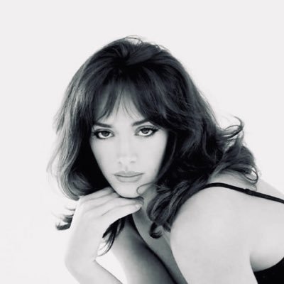 typingmee's profile picture. - أُشبه الوردة التي تنبّت في مكانٍ صعب