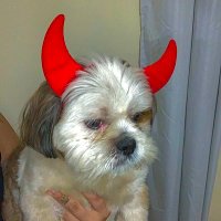 saam (@saaaxm_) 's Twitter Profile