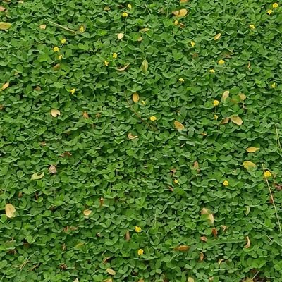 y_aadyy's profile picture. 