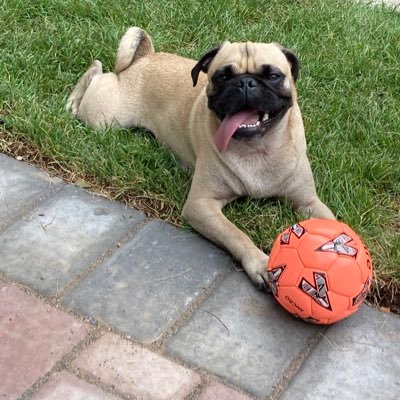 Drossef1's profile picture. 