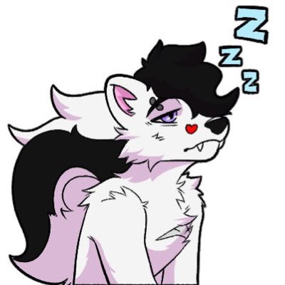 NovaSkunk🦨🔜FWAさんのプロフィール画像