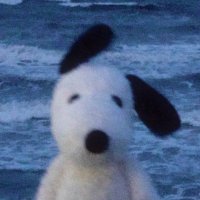 g. (@gabcaskets) 's Twitter Profile