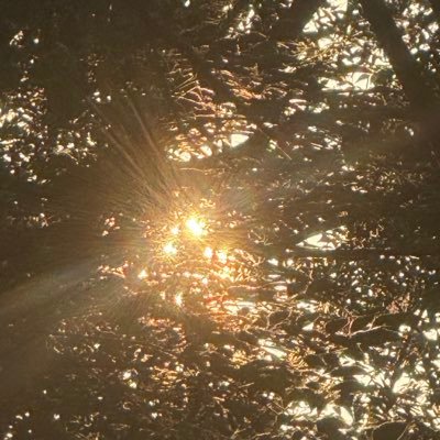 VadaseE's profile picture. 