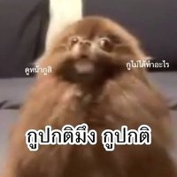 🌚🌝 (@ct_chanun) 's Twitter Profile Photo 🌚🌝 (@ct_chanun) 's Twitter Profile Photo