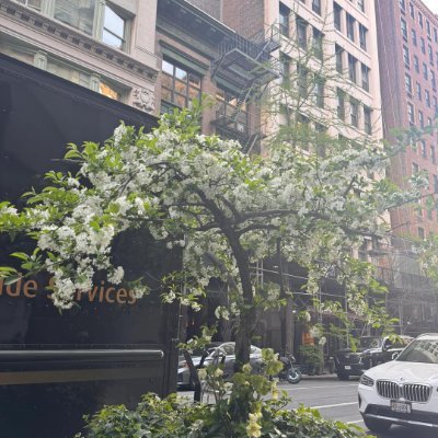 Liz7040's profile picture. No bots, no fake accounts! No promotional products#1883