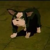 zilmoe73782's profile picture. 