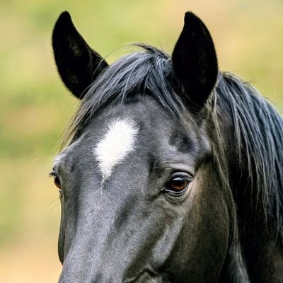 脱毛、脱毛、円形脱毛、今は髪フサフサではない!?FXはずっとマイナス…。今年こそプラスで新年を迎えたい
頑張るます。👊