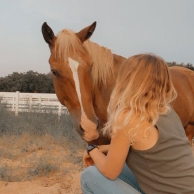 storm chaser • home of #wxtwitter horse Radar & the Silverado that won’t die • @DixieDwellers • @spann said I’m “cool as grits” • opinions are my own • 🌪️⚡️