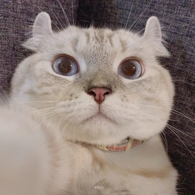 EveningTea_V's profile picture. 💕 誰かの笑顔が私の力になる。😊
「思いやり」を大切にしています。🌈