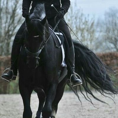 شاعر وراوي ومهتم بعلوم الفلك والكواكب والنجوم والخيول السعوديه العظمى 🇸🇦🌎🇸🇦🐎🐎حساب جديد بديل لحسابي المفقود