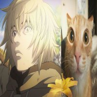 ββ βΉ πeow β βΉβ (@meowmmm__) 's Twitter Profile