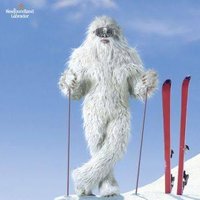 SchneeRichter (@schneerichter) 's Twitter Profile