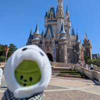 mame。 (@r_kinaco29) Twitter profile photo