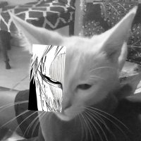 kaaz (@6789rdtya) 's Twitter Profile