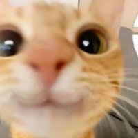 nrctic (@nrctc) 's Twitter Profile