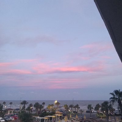 HollyWentz15's profile picture. 