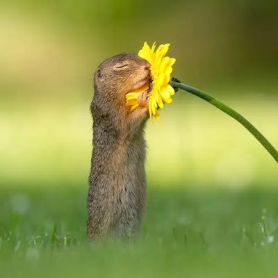 FreenYourMind's profile picture. Let Free your mind. Relax and Enjoy our life as much as we can😎