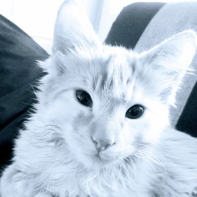 M4nch4s_46's profile picture. 