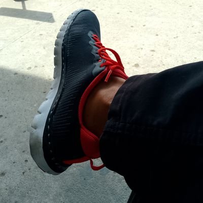moji_wd's profile picture. 