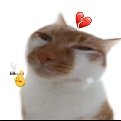海外暗号資産取引所CoinWの日本マーケティング担当 投資が好きです! アフィリエイト登録及びビジネス提携はDMまで